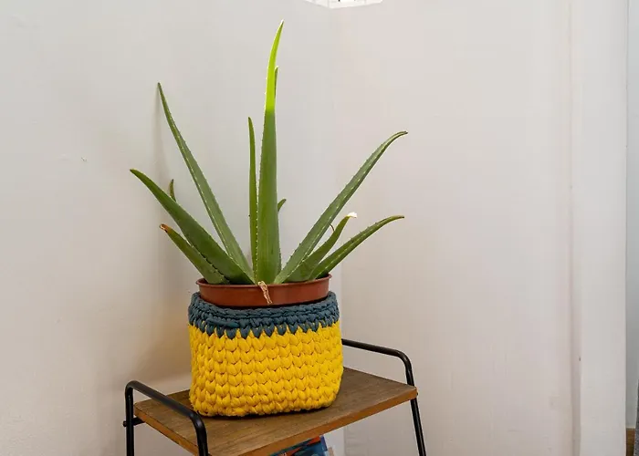 Yolo House - Corralejo